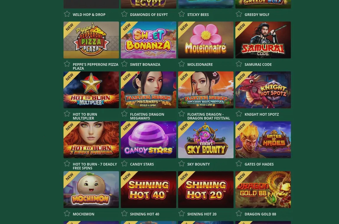 Panoramica offerte bonus Wild Robin Casino 2026